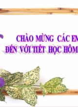 Bài giảng Toán Lớp 7 (Sách Chân trời sáng tạo) - Chương 2 - Bài 3 Làm tròn số và ước lượng kết quả - Năm học 2022-2023